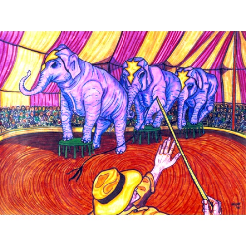 Pachyderms