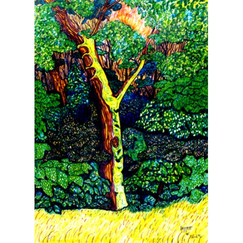 Milford Tree