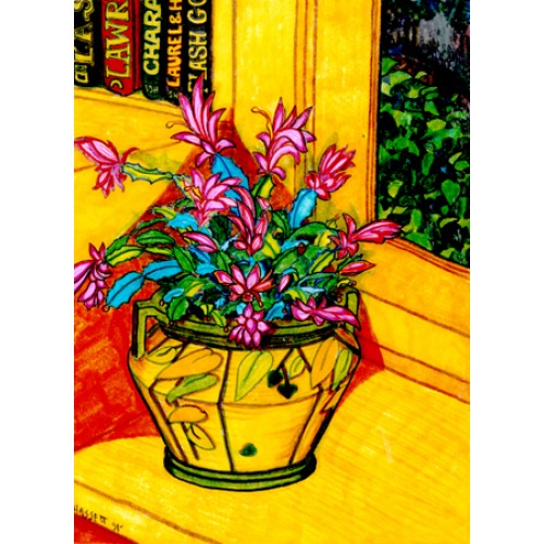 Christmas Cactus