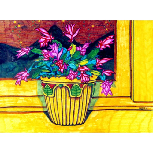 Xmas Cactus on Window Ledge