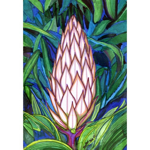 Flower Paia