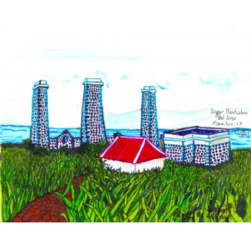 Sugar Plantation