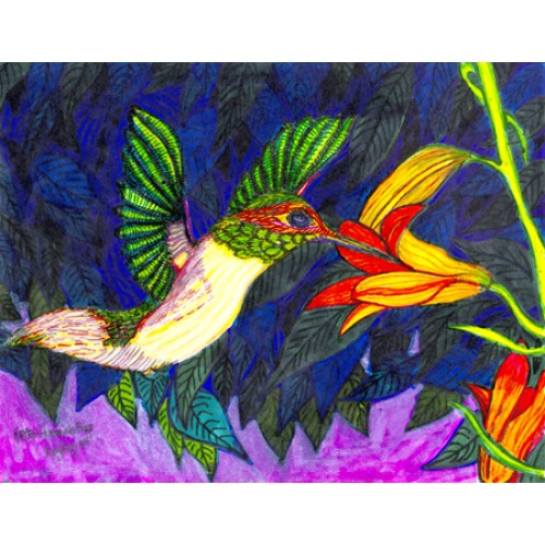 Hummingbird