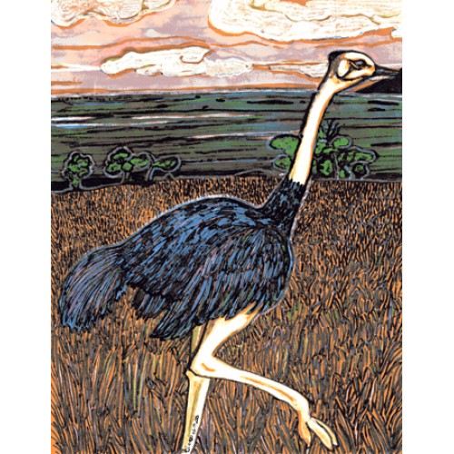 Ostrich