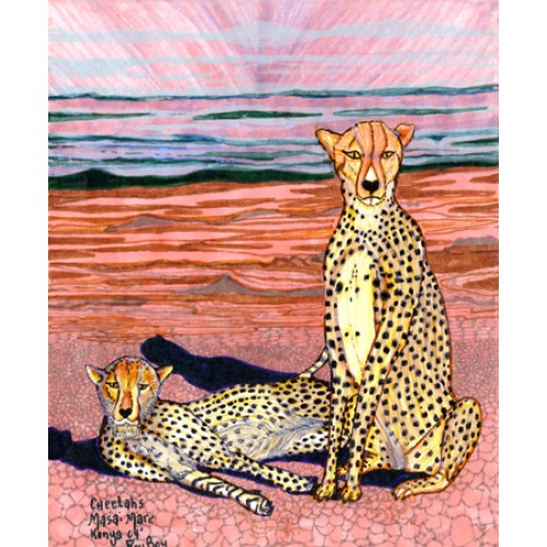 Cheetahs