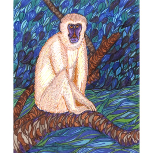 Veruet Monkey