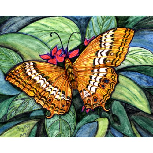 Cruiser Butterfly
