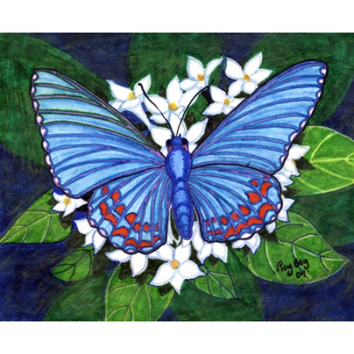 Blue Butterfly