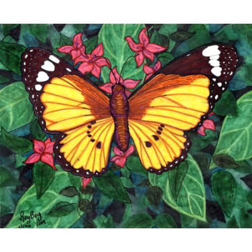 Monarch Butterfly