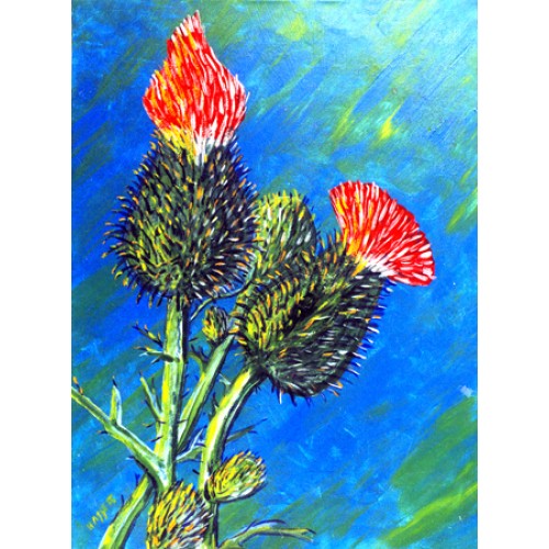 Thistle
