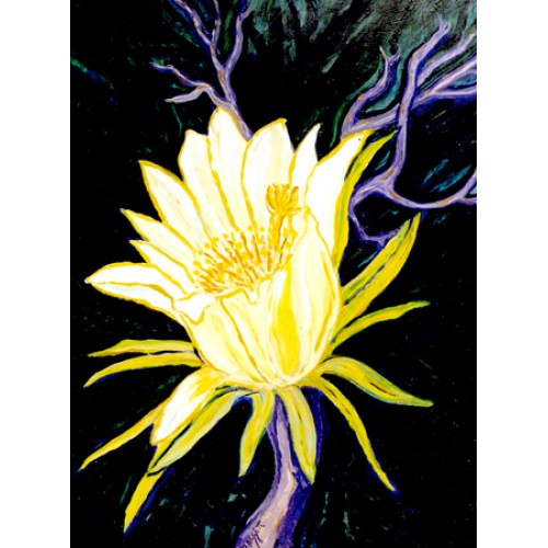 Passion Flower