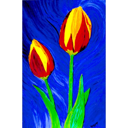 Tulips