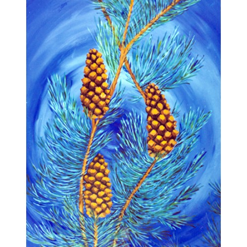 Pine Cones