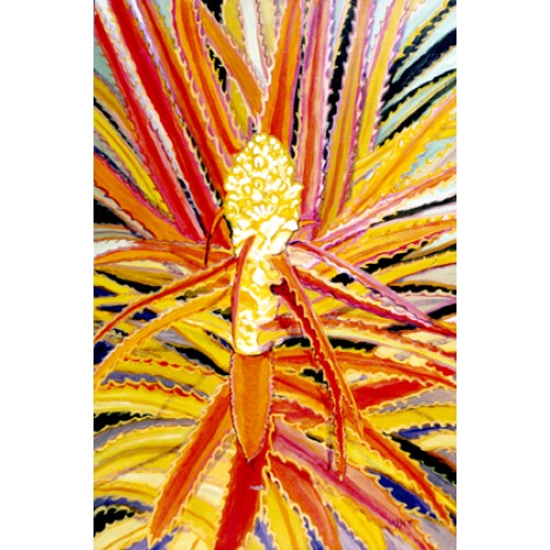 Hard Cactus