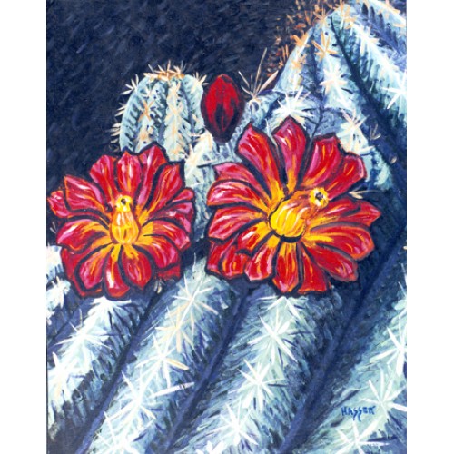 Cactus Flower