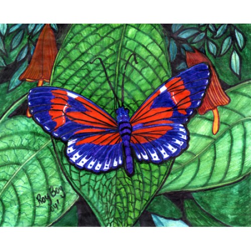Last Butterfly
